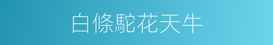 白條駝花天牛的同義詞