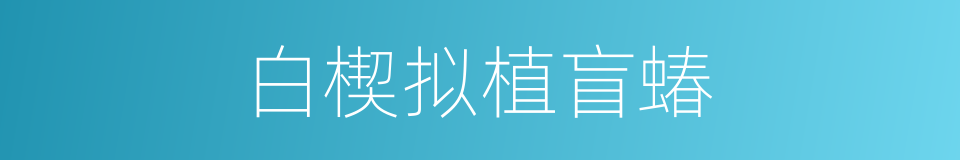 白楔拟植盲蝽的同义词