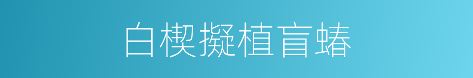 白楔擬植盲蝽的同義詞