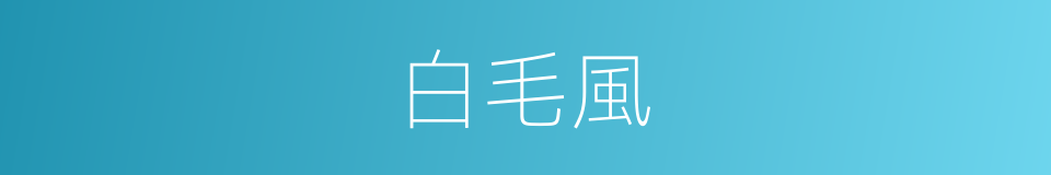 白毛風的意思