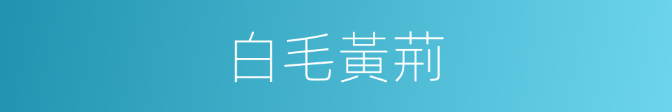 白毛黃荊的同義詞