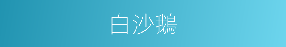 白沙鵝的同義詞