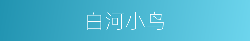 白河小鸟的同义词