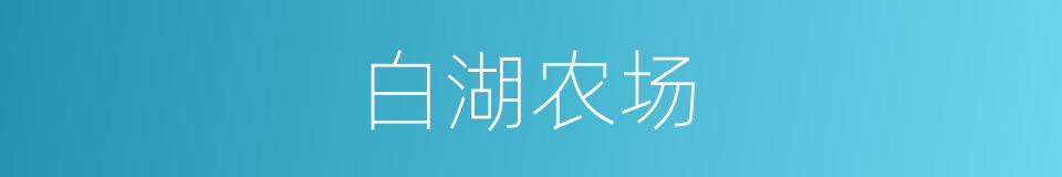 白湖农场的同义词