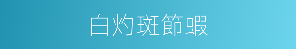 白灼斑節蝦的同義詞