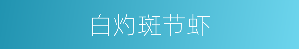 白灼斑节虾的同义词