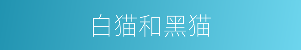 白猫和黑猫的同义词
