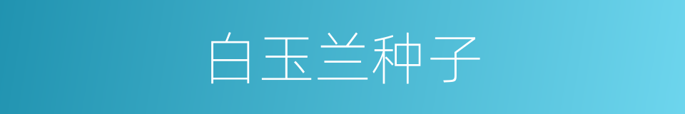 白玉兰种子的同义词