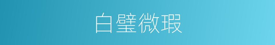 白璧微瑕的意思
