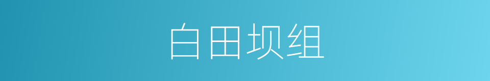 白田坝组的同义词