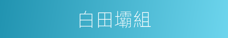 白田壩組的同義詞