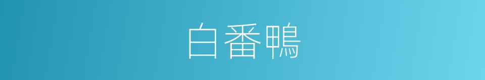 白番鴨的同義詞