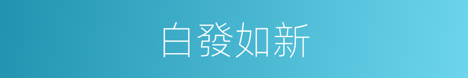 白發如新的意思