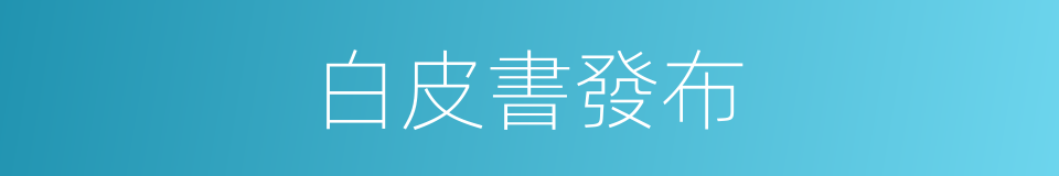 白皮書發布的同義詞