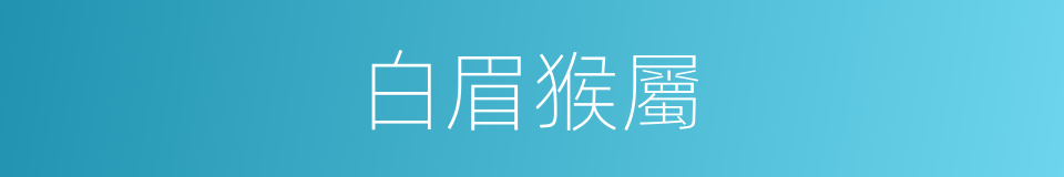 白眉猴屬的同義詞
