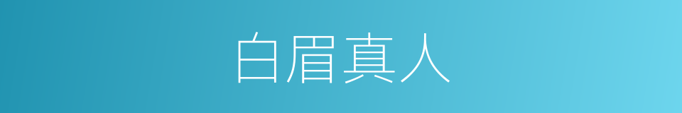 白眉真人的同义词