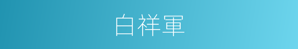 白祥軍的同義詞
