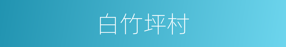 白竹坪村的同义词