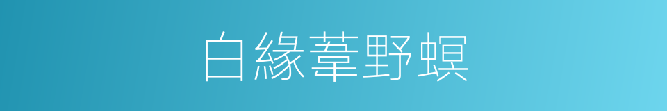 白緣葦野螟的同義詞