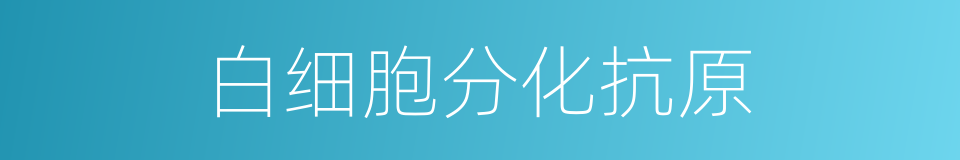 白细胞分化抗原的同义词