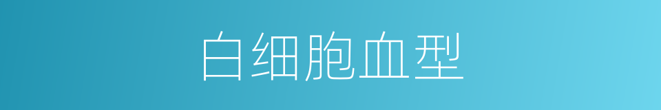 白细胞血型的同义词