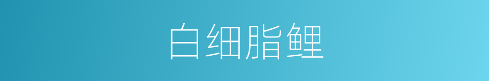 白细脂鲤的同义词