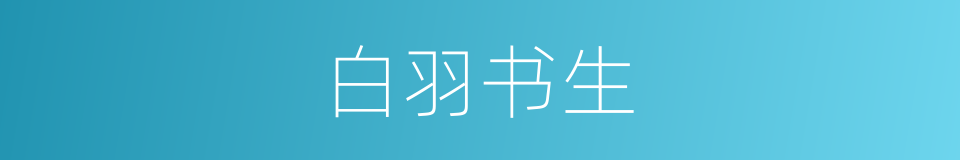 白羽书生的意思