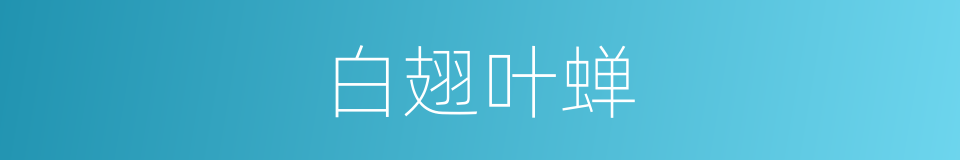 白翅叶蝉的同义词