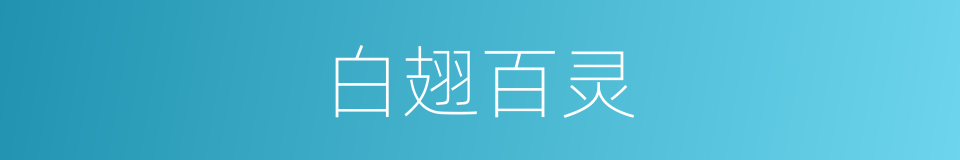 白翅百灵的同义词
