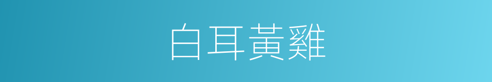 白耳黃雞的同義詞