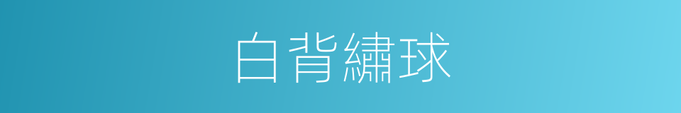 白背繡球的同義詞