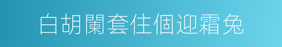 白胡闌套住個迎霜兔的意思