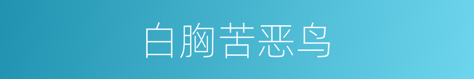 白胸苦恶鸟的同义词