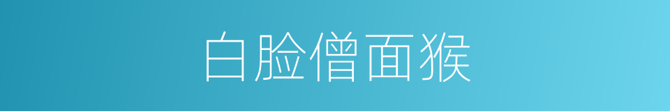 白脸僧面猴的同义词