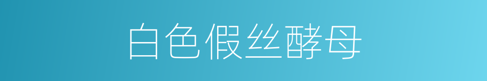 白色假丝酵母的同义词