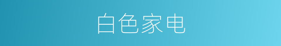 白色家电的同义词