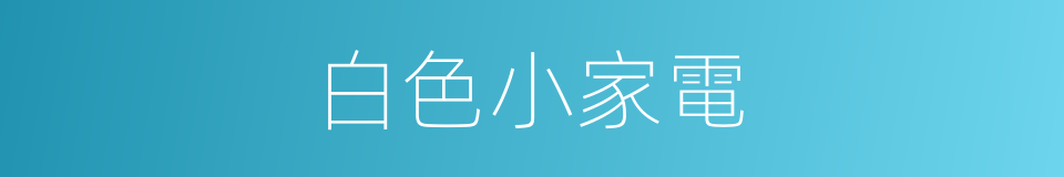 白色小家電的同義詞