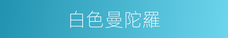 白色曼陀羅的同義詞