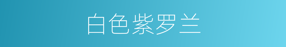 白色紫罗兰的同义词