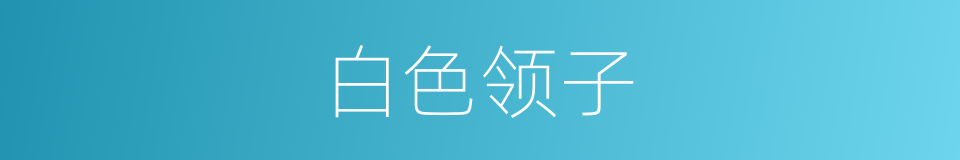 白色领子的同义词