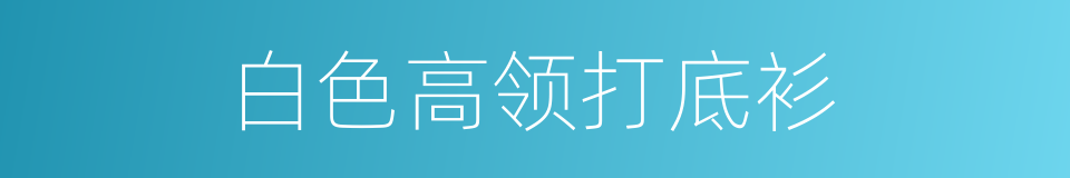 白色高领打底衫的同义词