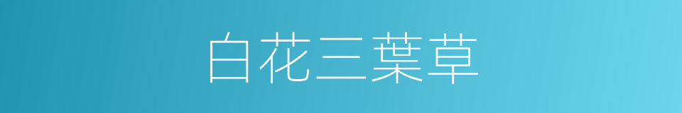 白花三葉草的同義詞