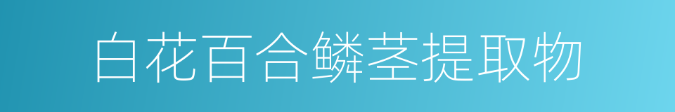 白花百合鳞茎提取物的同义词