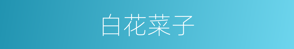 白花菜子的同义词