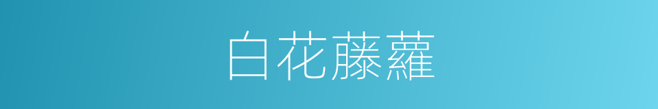 白花藤蘿的同義詞