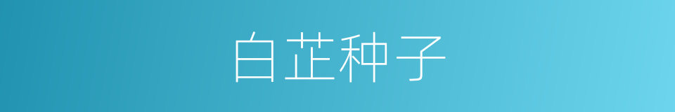 白芷种子的同义词