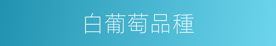 白葡萄品種的同義詞