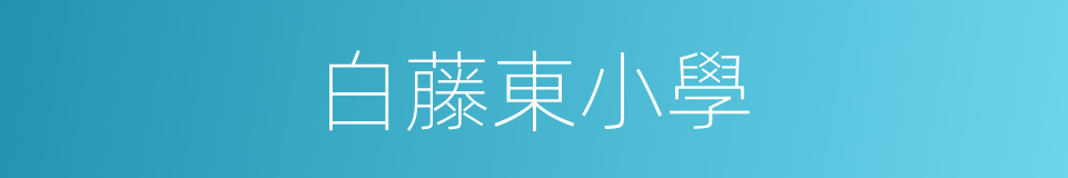 白藤東小學的同義詞