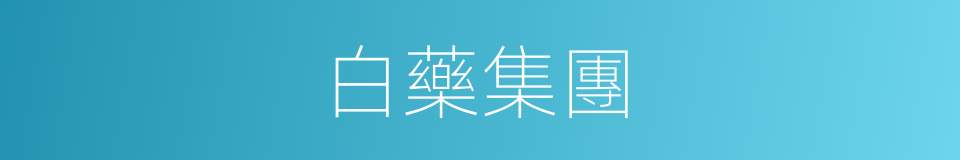 白藥集團的同義詞