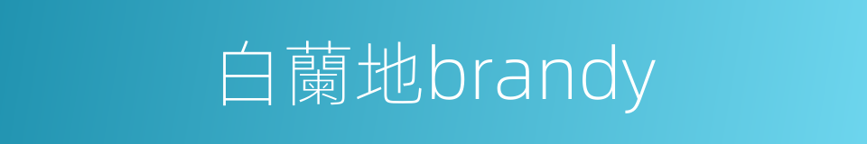 白蘭地brandy的同義詞